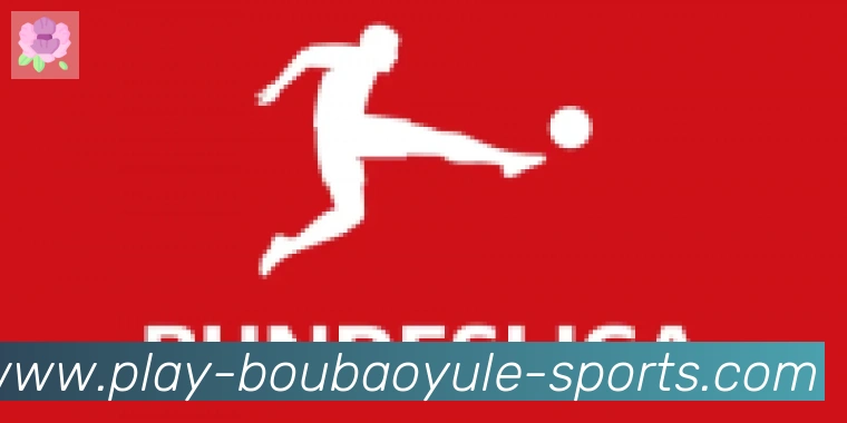 bob娱乐体育合作伙伴